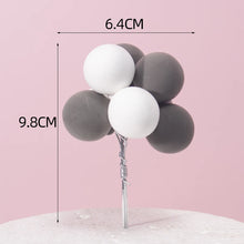 Load image into Gallery viewer, 210788853-10